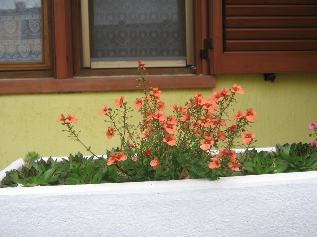 Apartment Meridiana Rovinj Exterior photo